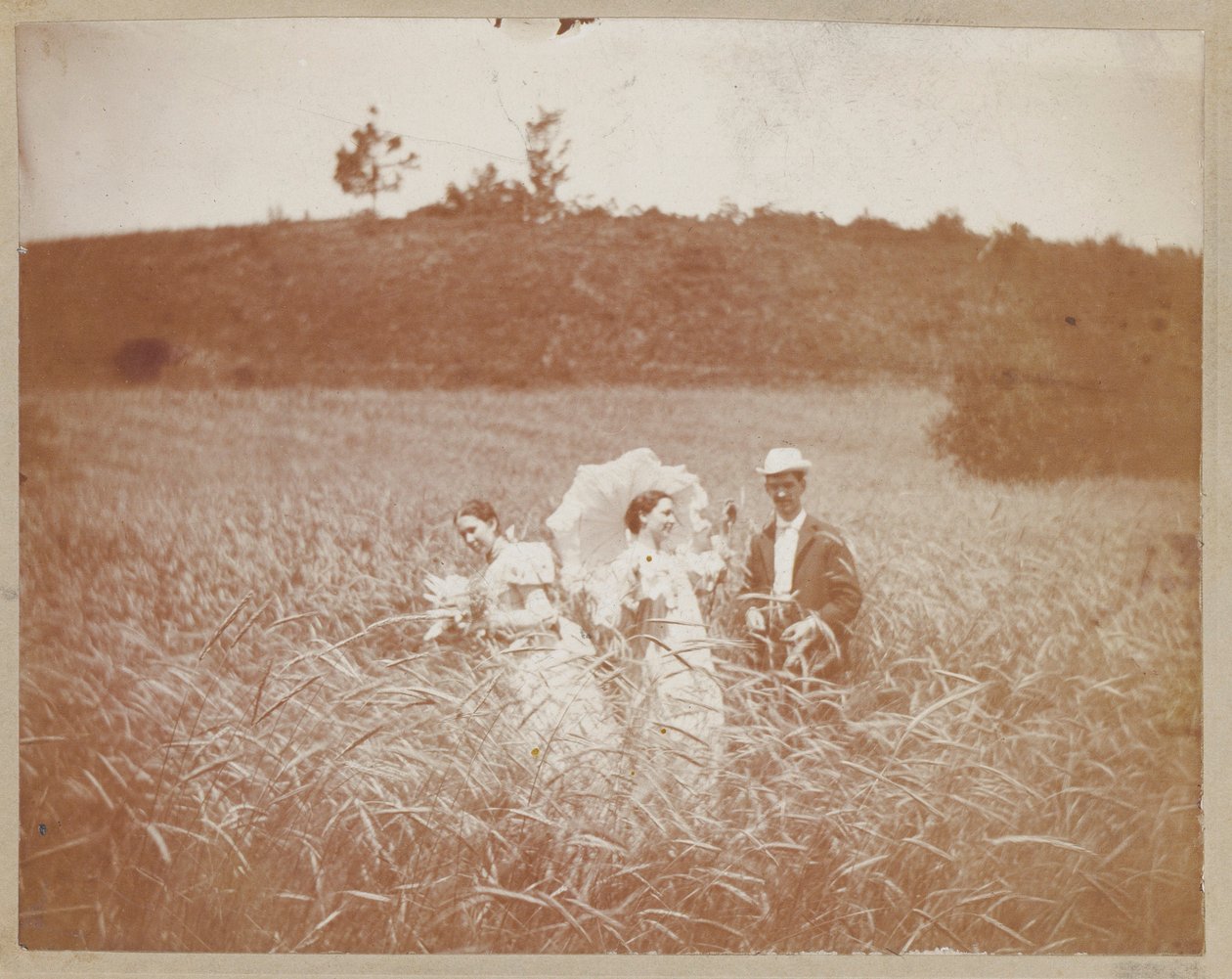 [Drei Freunde auf einem Feld] von Unidentified
