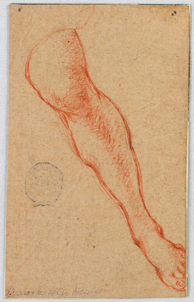 Studie des linken Beins einer sitzenden Frau von Unknown