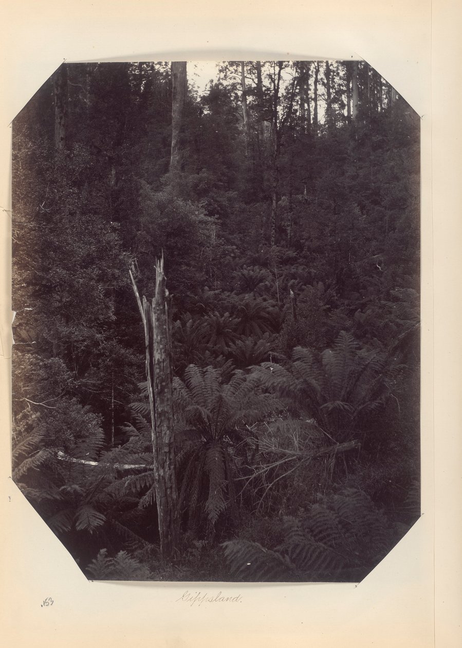 Australien - (Victoria und S. Australien) von Unknown