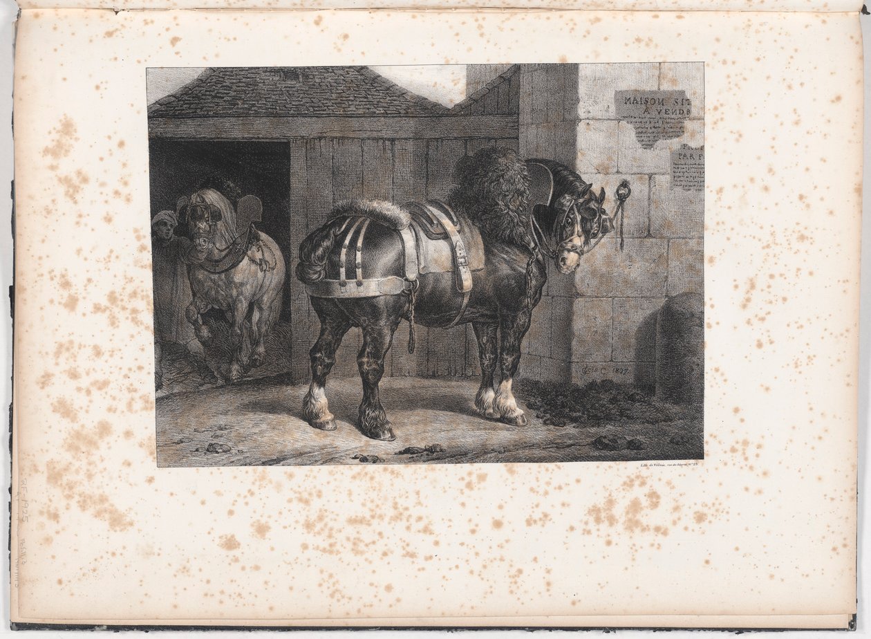 Schwarzes Pferd vor einem Stall von Unknown