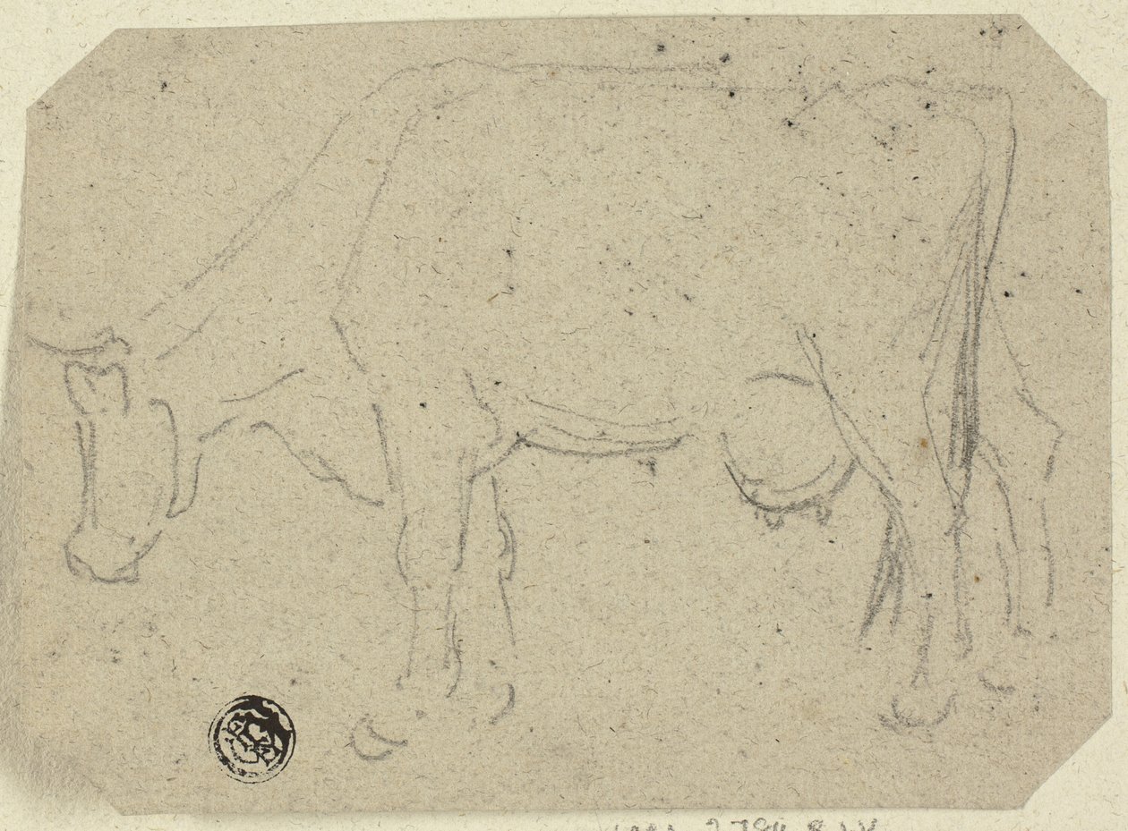 Kuh beim Grasen (recto); Kopf eines Tieres (verso) von Unknown