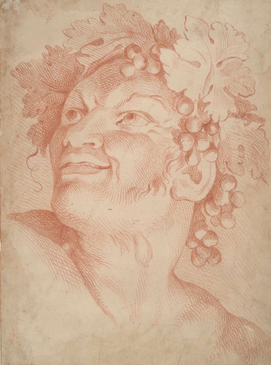 Kopf eines Satyrs von Unknown