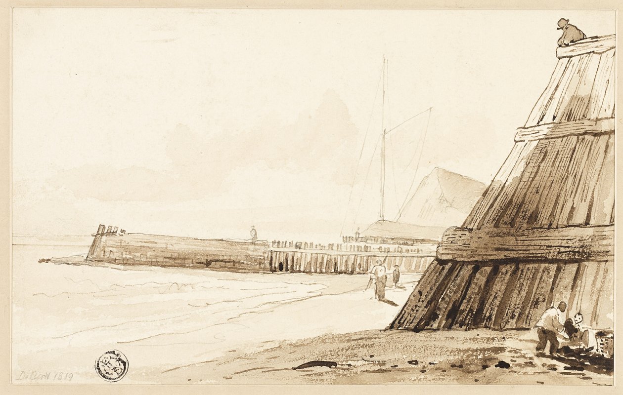 Palisade entlang der Küste von Unknown
