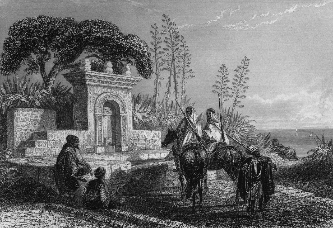 Brunnen in der Nähe von Algier. von Unknown artist