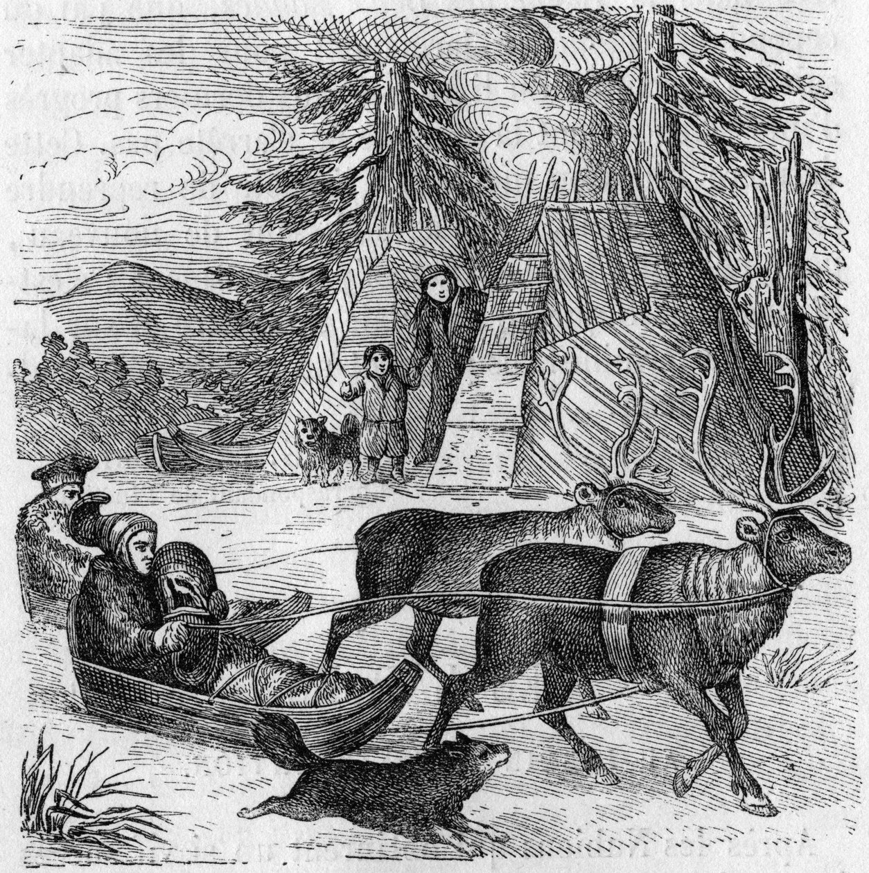 Lappen und ihre Schlitten. von Unknown artist
