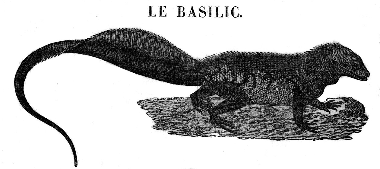 Legendäres Monster: Darstellung des Reptils Basilisk. von Unknown artist