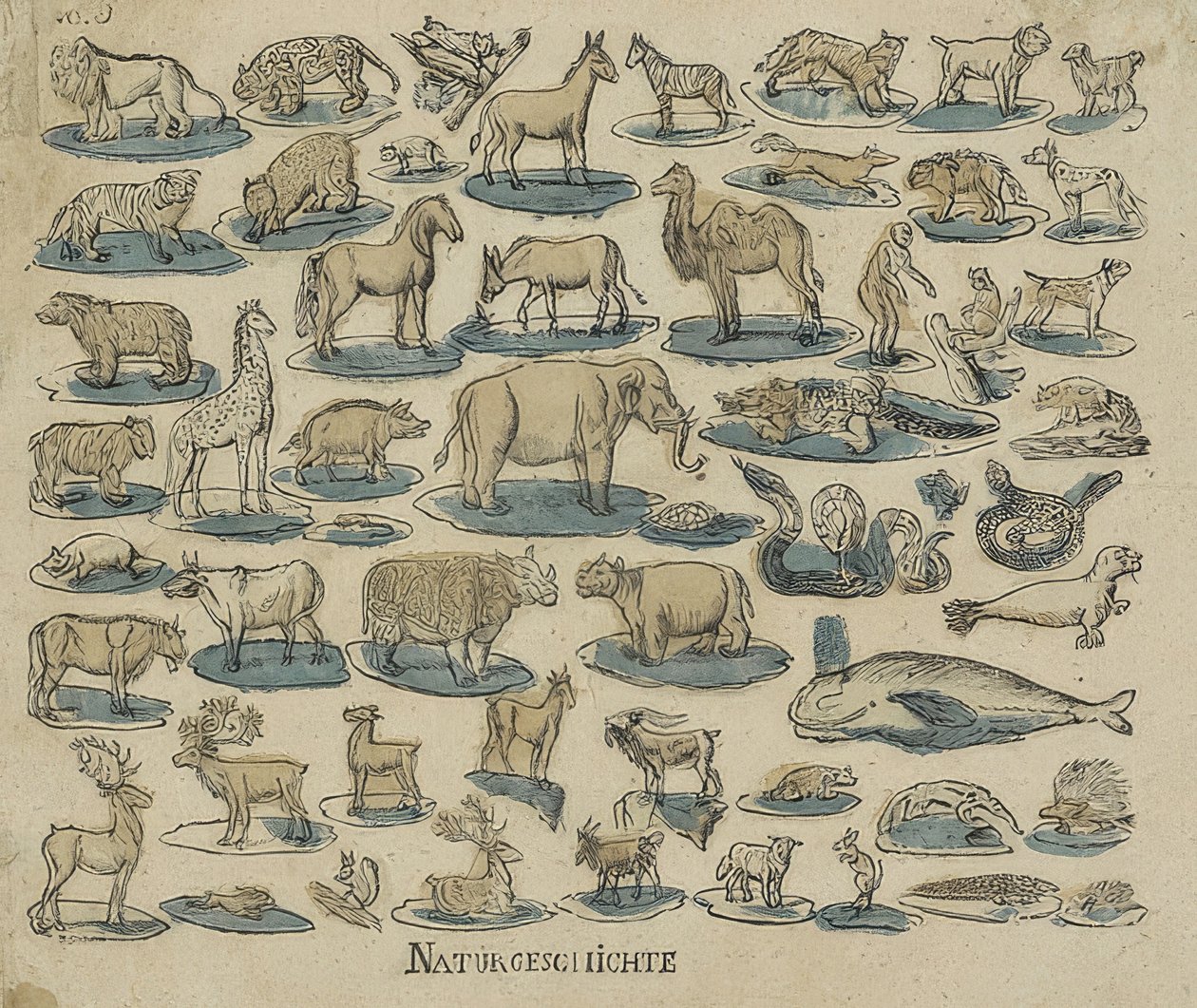 Tiere von Unknown