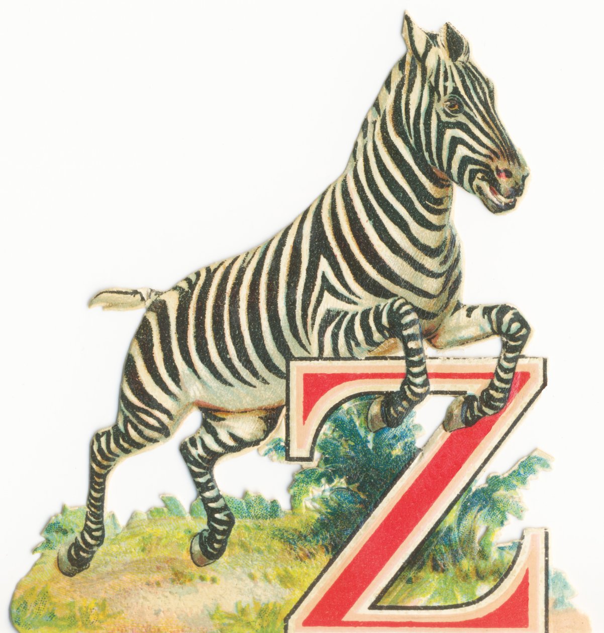 Z: Zebra von Unknown artist