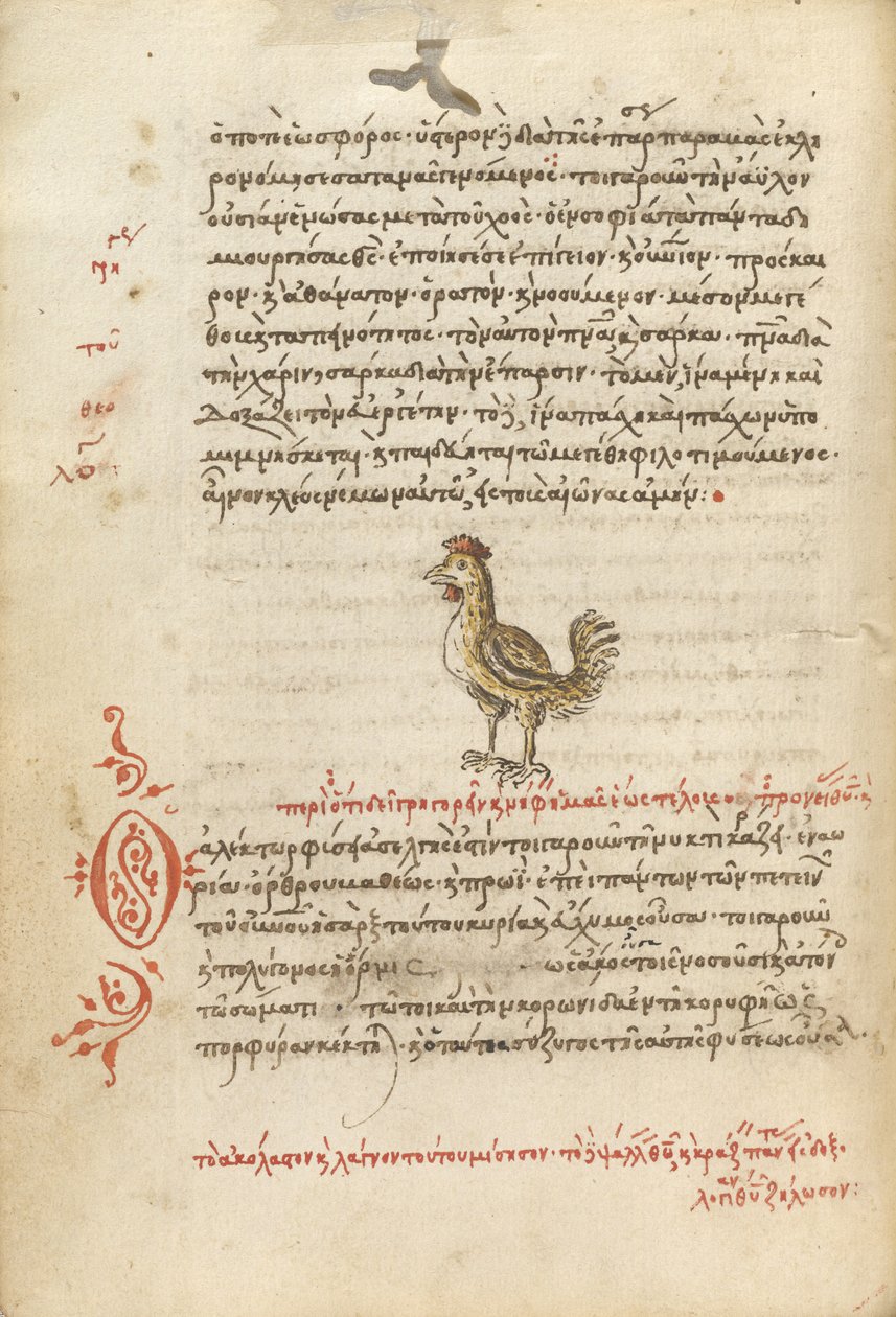 Ein Huhn von Unknown artist