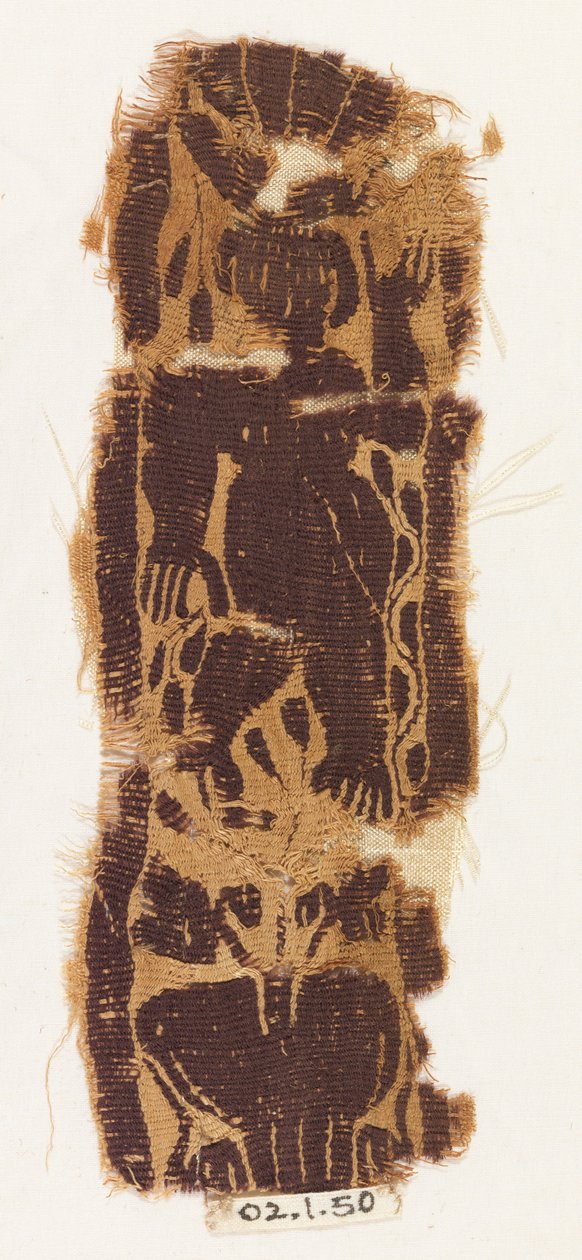 Bandfragment von Unknown artist