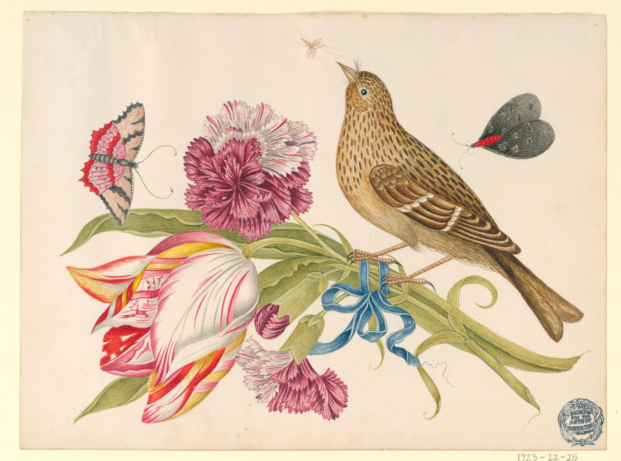 Vogel mit Tulpe, Nelke, Schmetterlingen und Insekt von Unknown artist