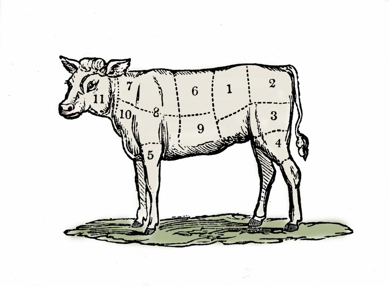Kalbfleischklemmen. von Unknown artist