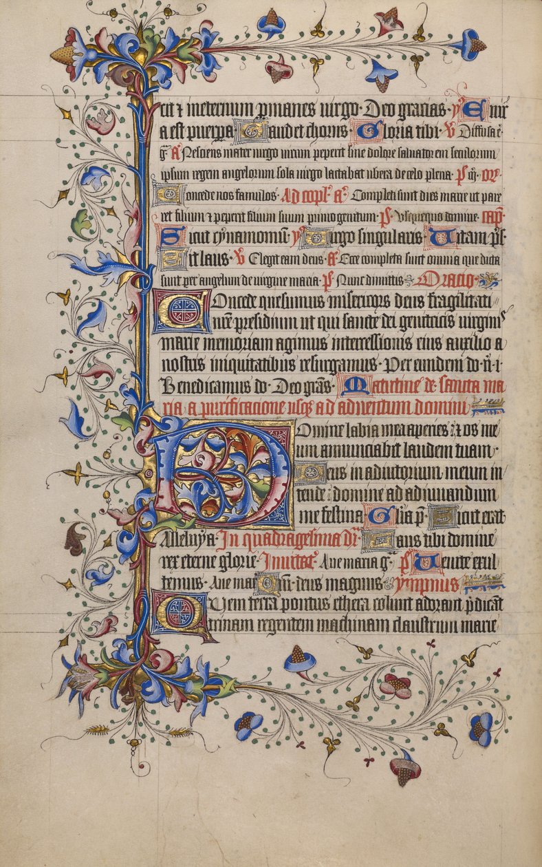 Geschmücktes Initial D von Unknown artist
