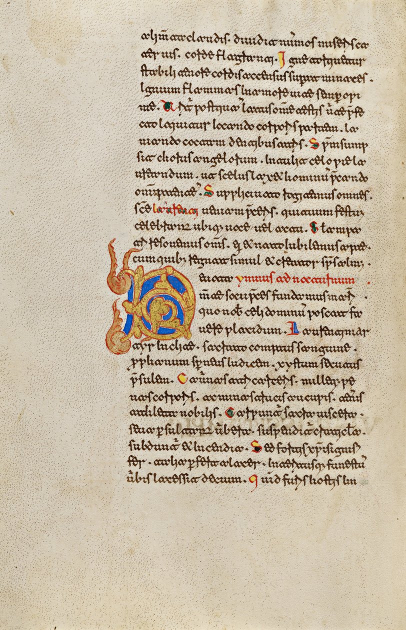 Geschmücktes Initial D von Unknown artist