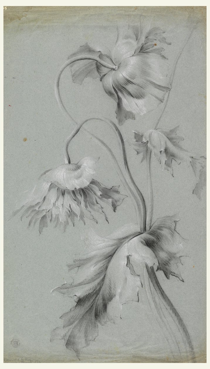 Blumendesign von Unknown artist