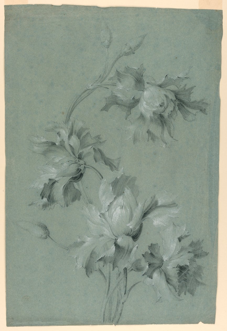 Blumendesign von Unknown artist