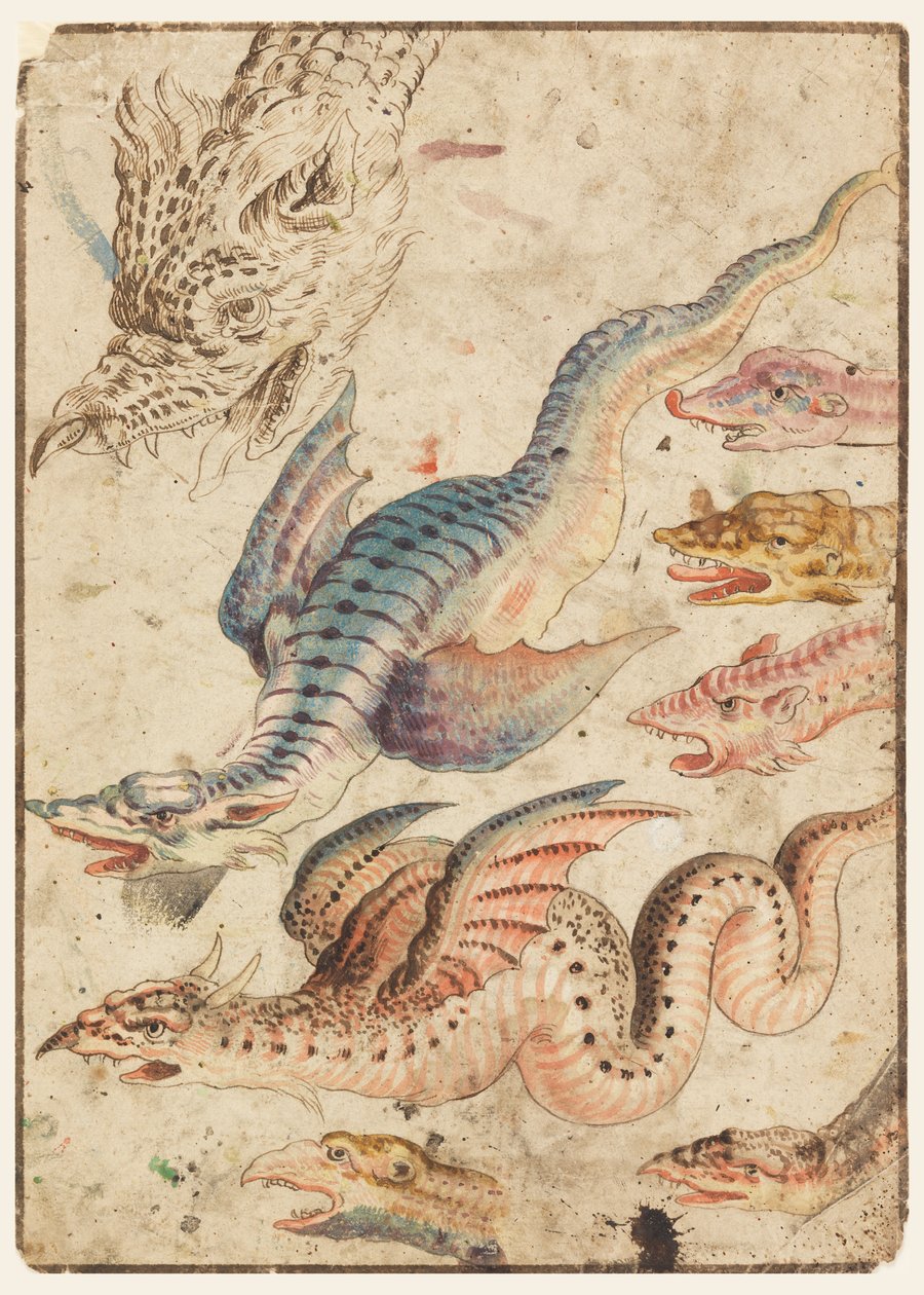 Studien eines Drachen von Unknown artist