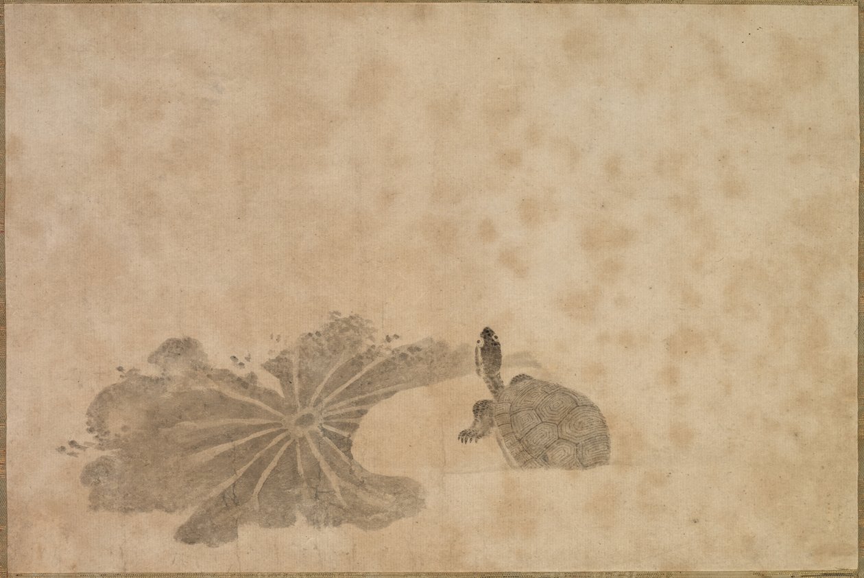 Schildkröte in einem Lotus-Teich von Unknown artist