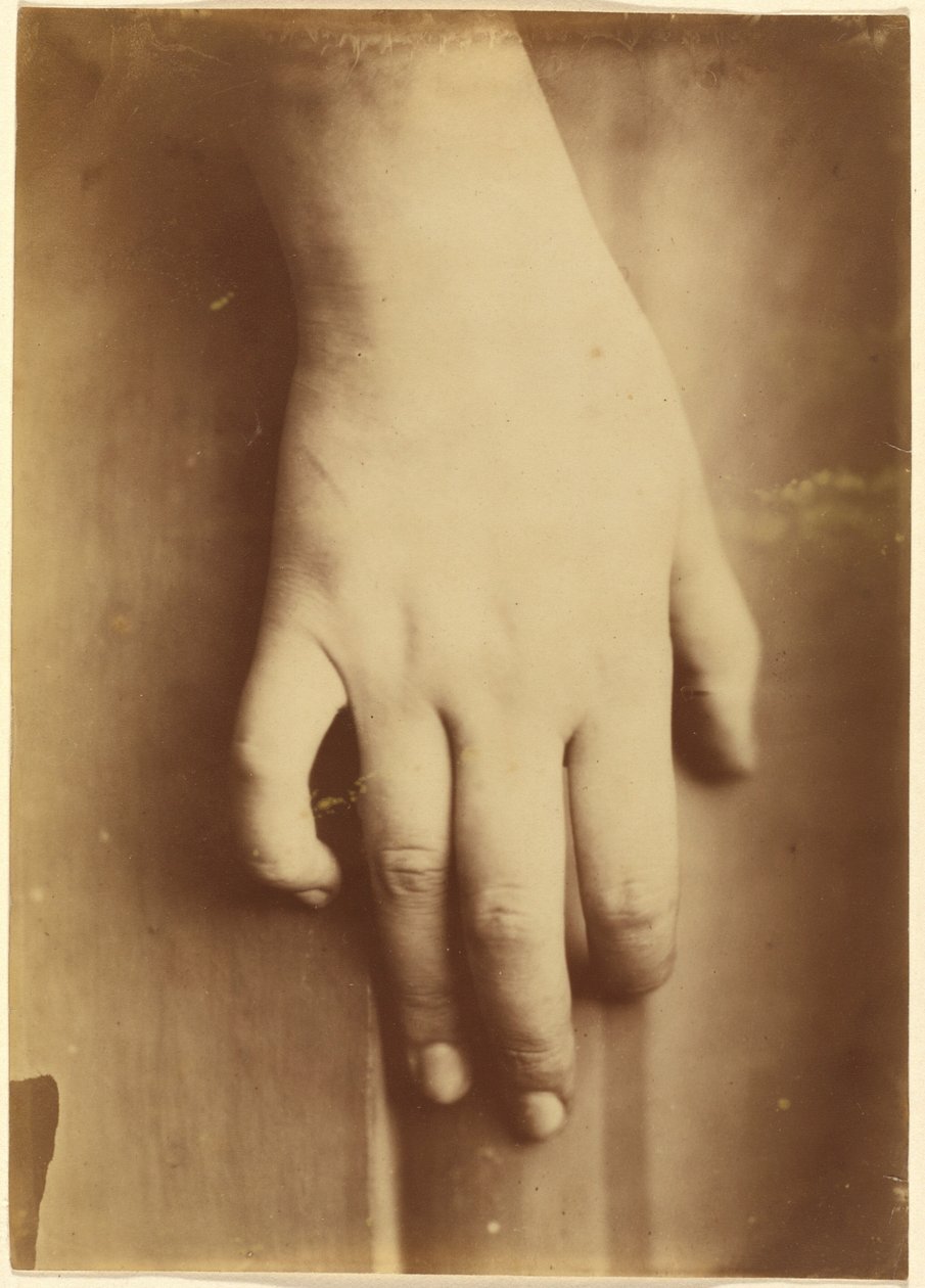 Studie einer Hand, 1865 von Unknown photographer