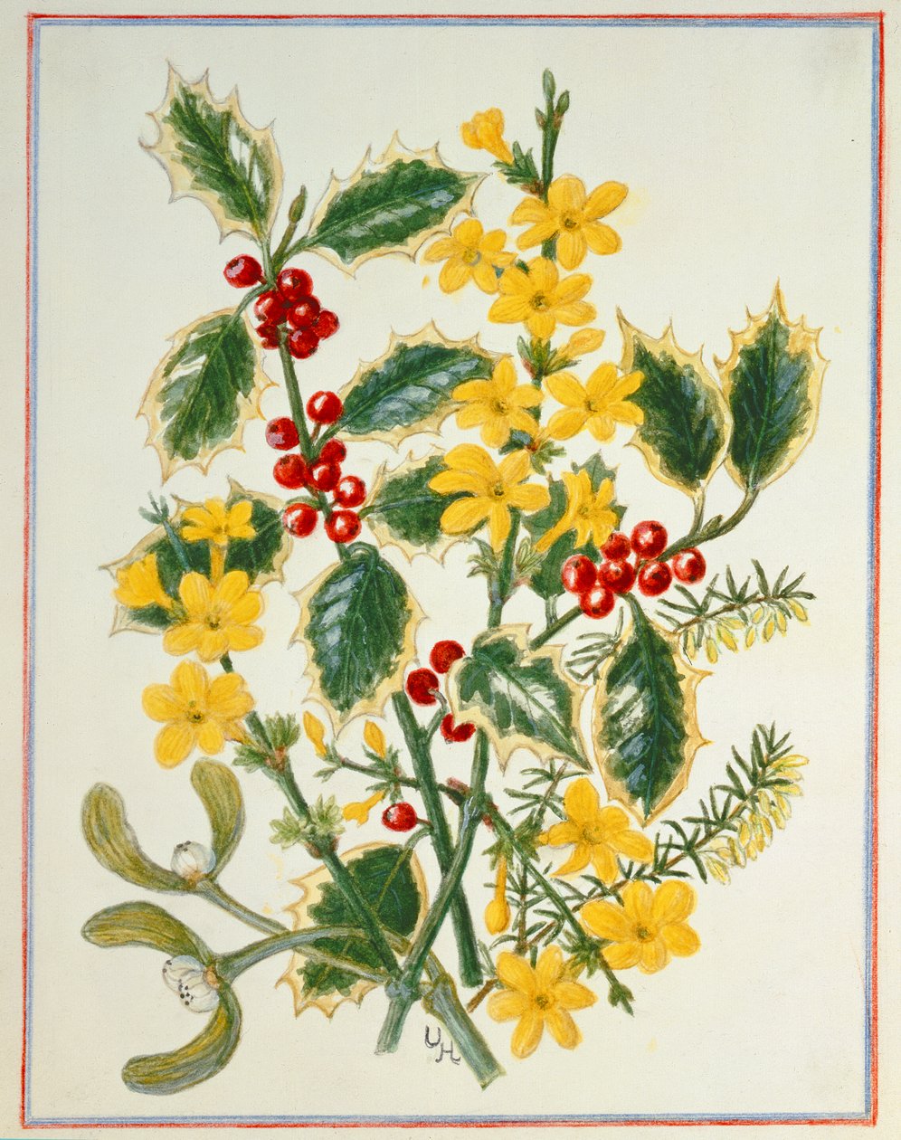 Stechpalme, Winterjasmin, Heidekraut und Mistel von Ursula Hodgson