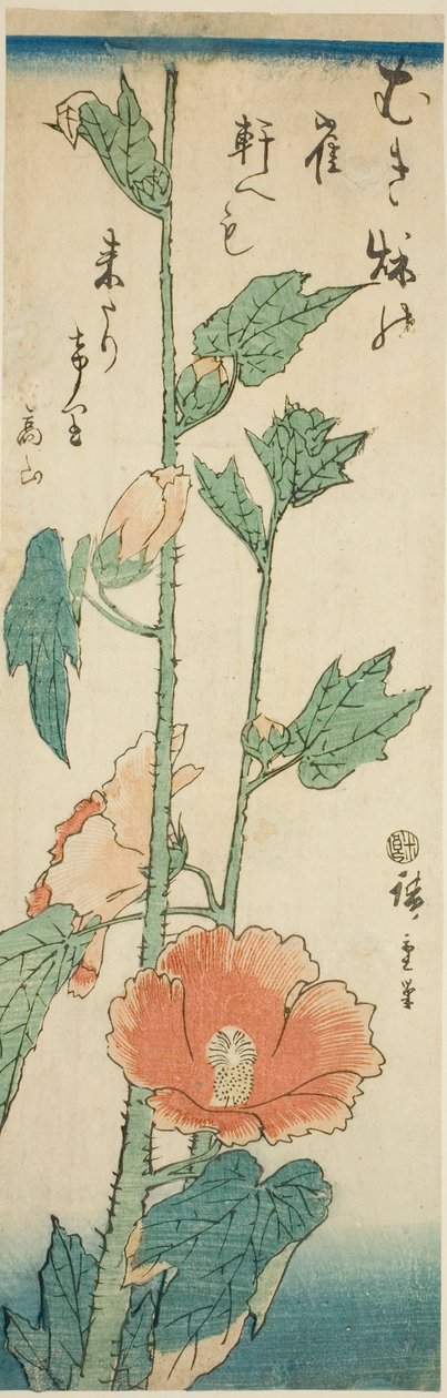 Hibiskus von Utagawa Hiroshige