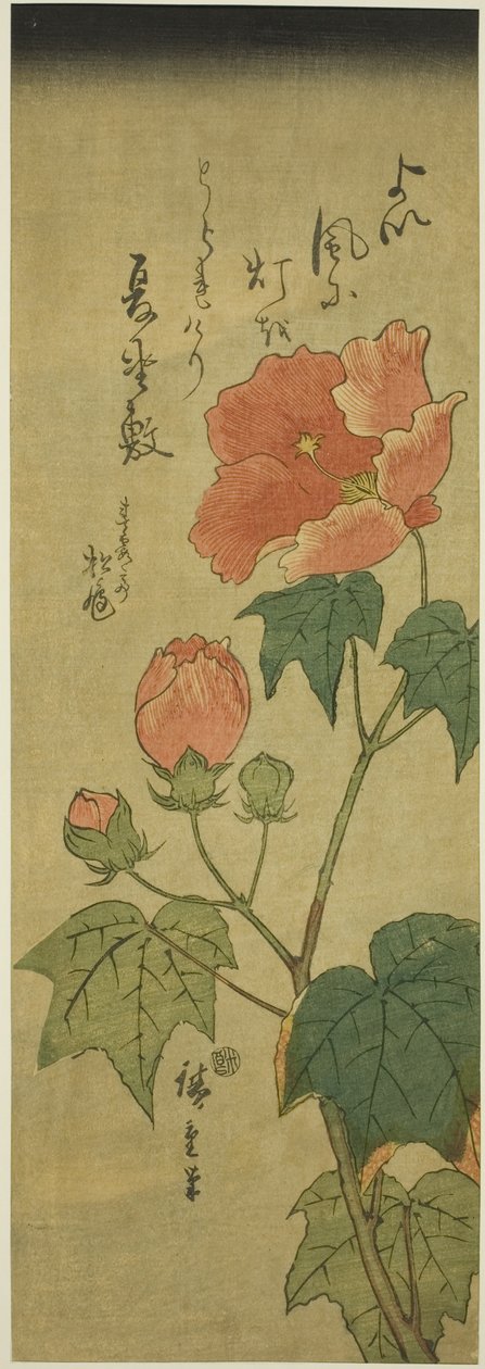 Hibiskus von Utagawa Hiroshige