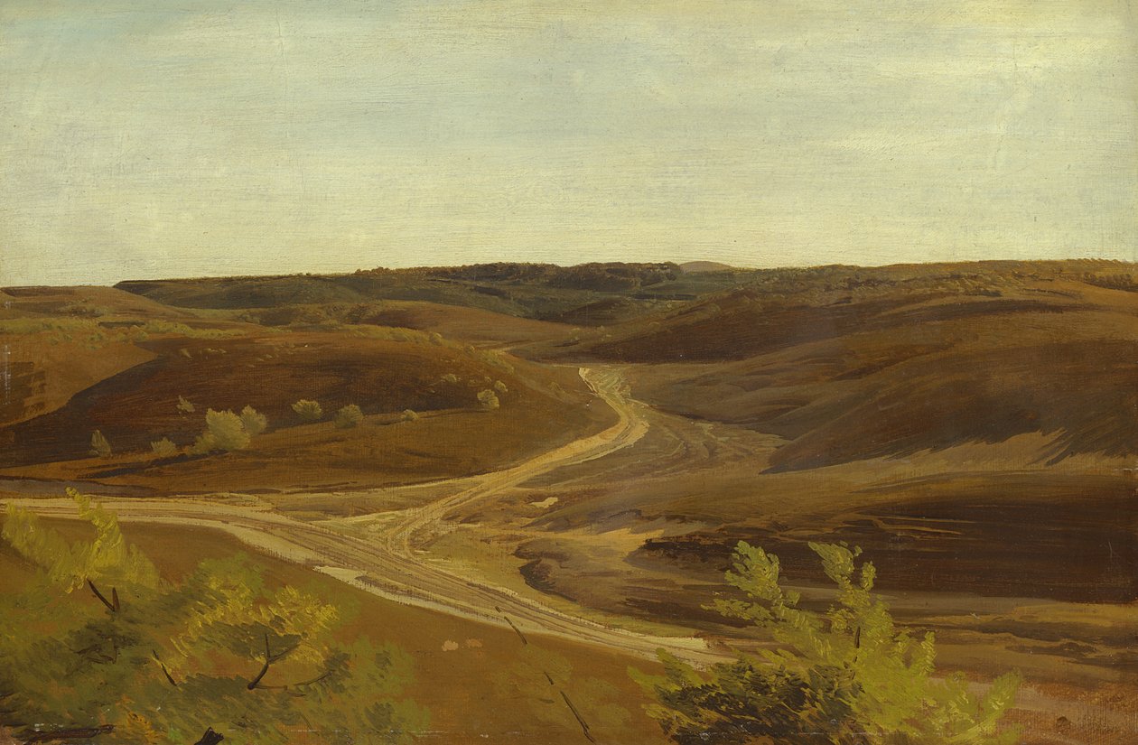 Das Moor bei Ehestorf, 1868 von Valentin Ruths