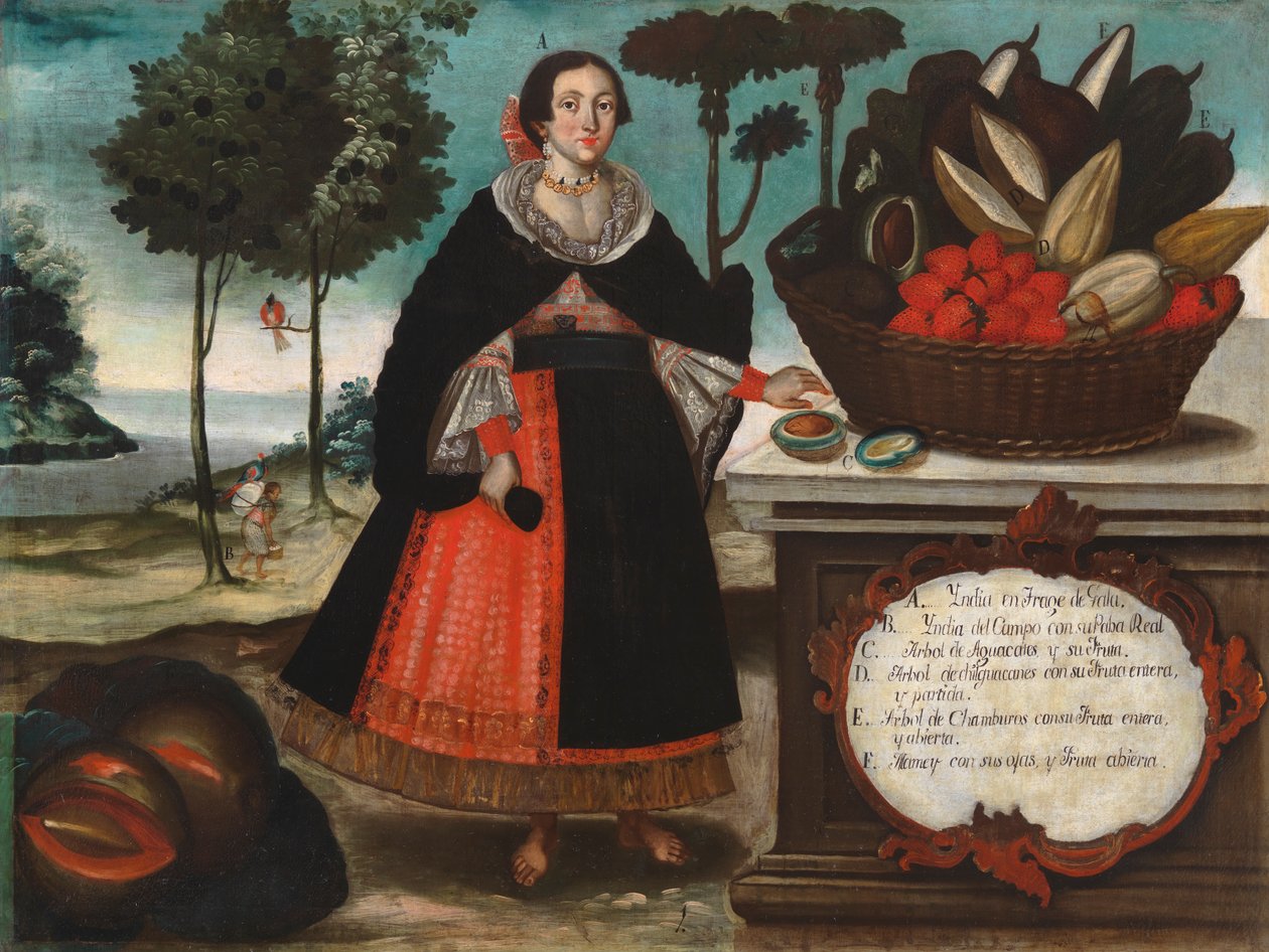 Indische Frau in spezieller Kleidung, ca. 1783 von Vicente Alban