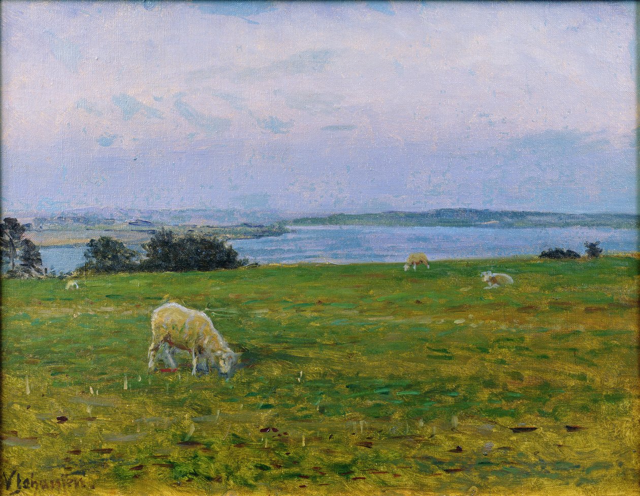 Schafe weiden, Osterby, Skagen von Viggo Johansen