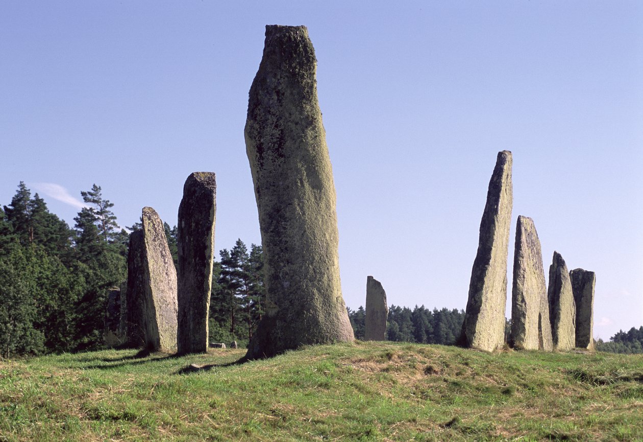 Schiffseinstellung von Viking