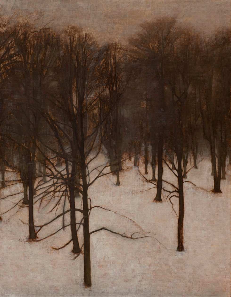 Søndermarken Park im Winter von Vilhelm Hammershøi
