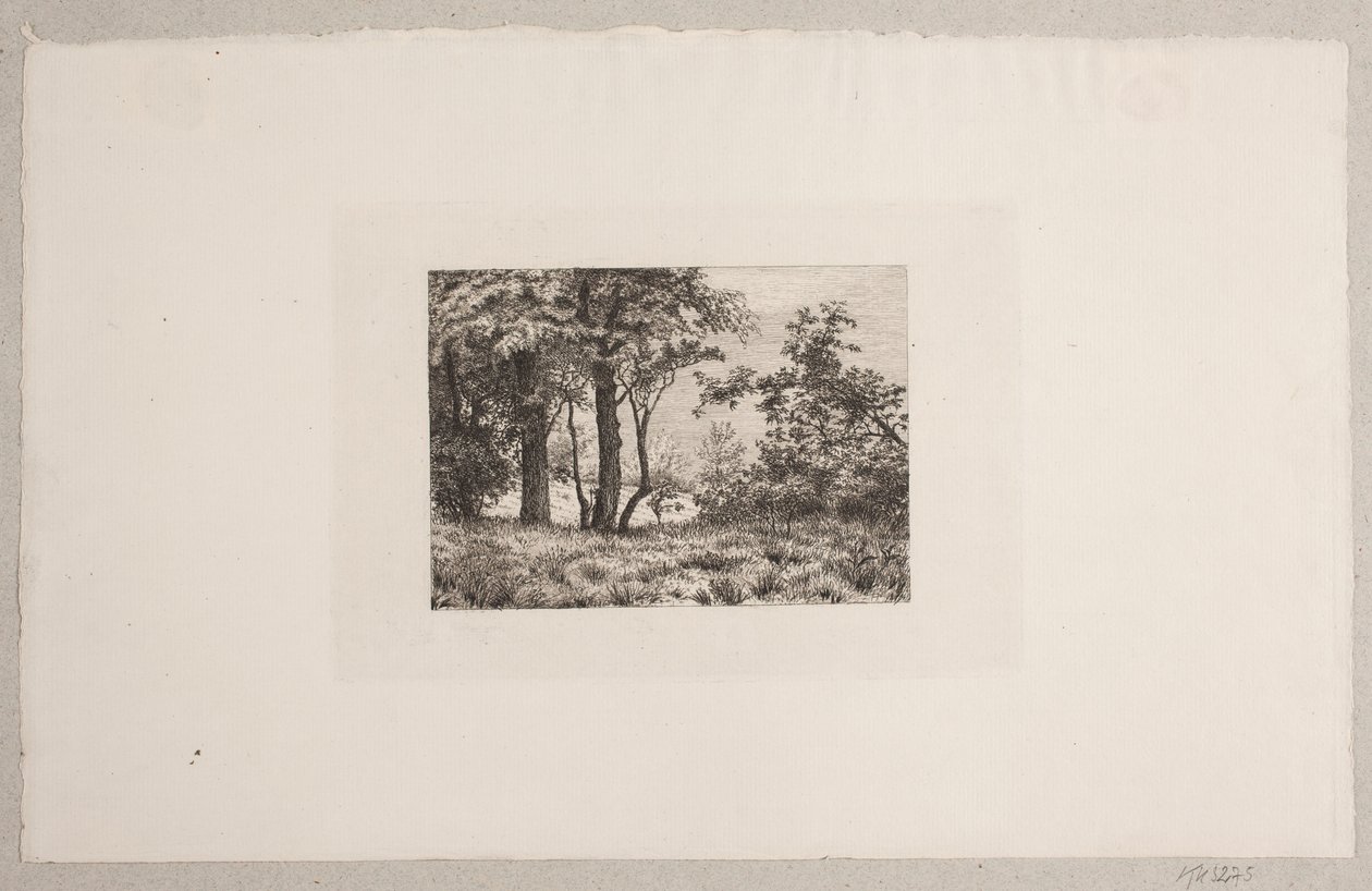 Eichen am Waldrand von Vilhelm Kyhn