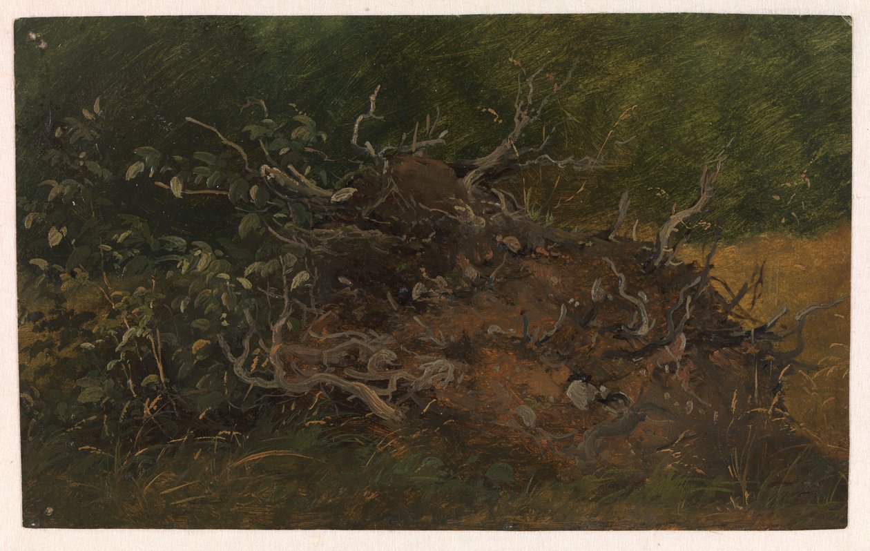 Studie eines Baumstumpfes von Vilhelm Petersen