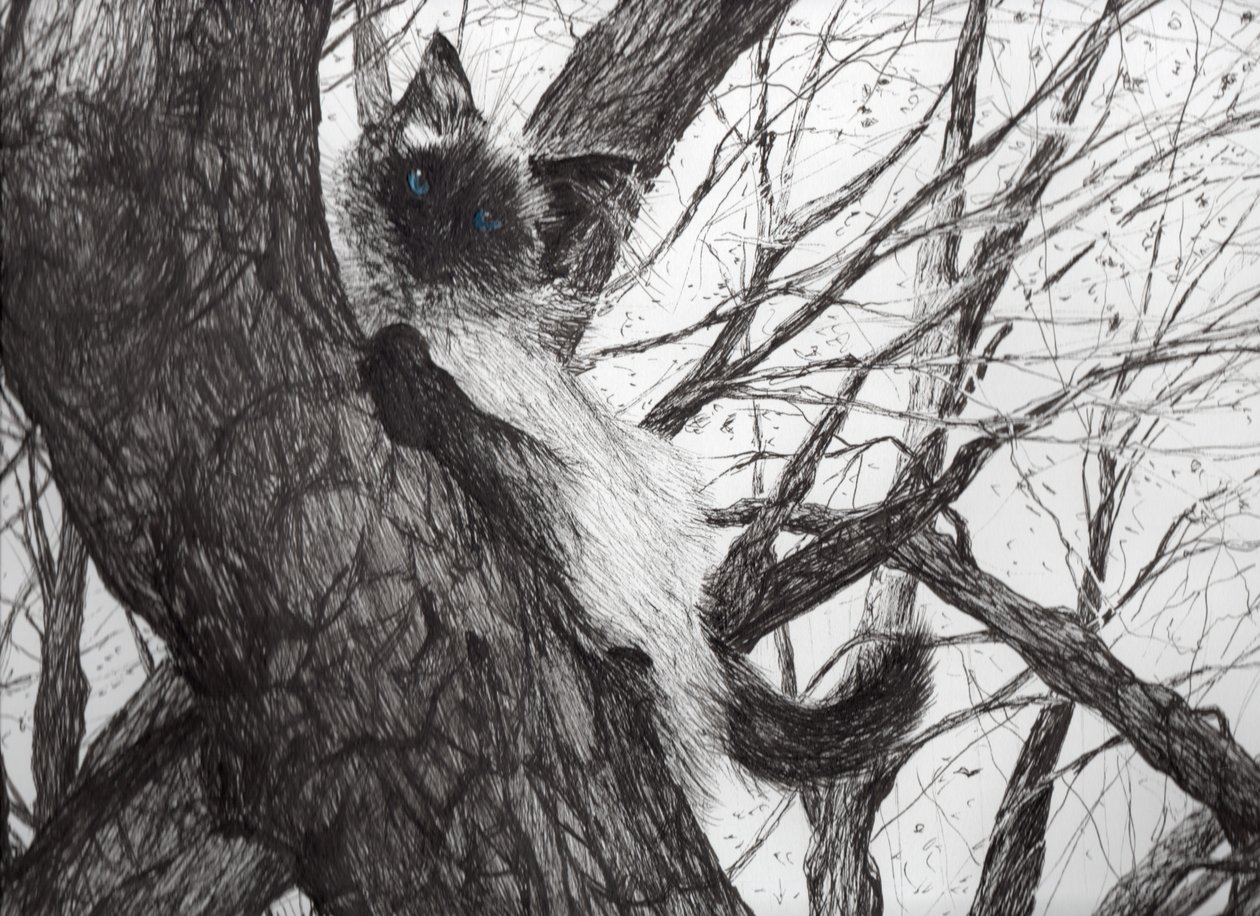 Auf dem Apfelbaum, 2006 (Tinte auf Papier) von Vincent Alexander Booth