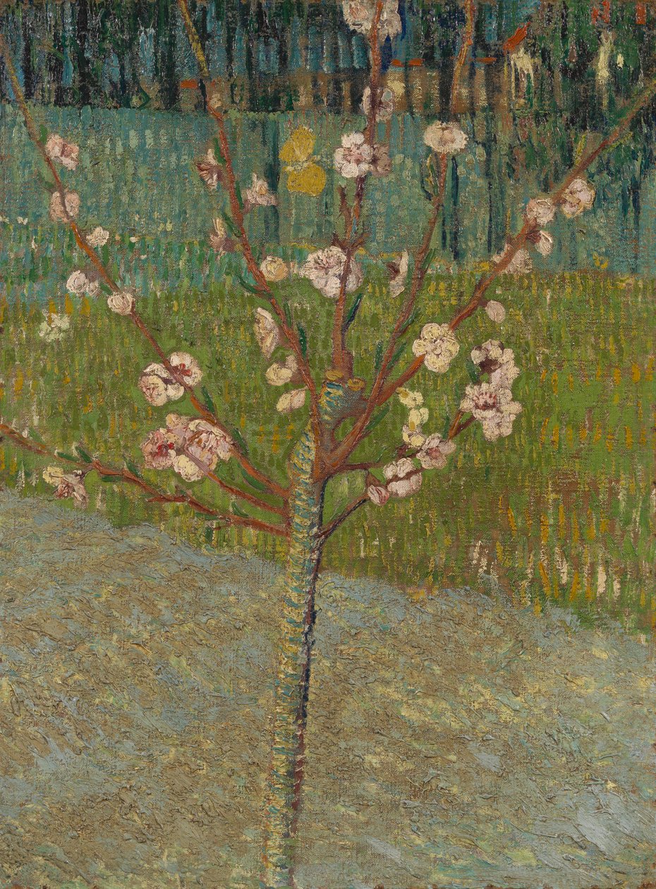 Mandelbaum in Blüte von Vincent van Gogh