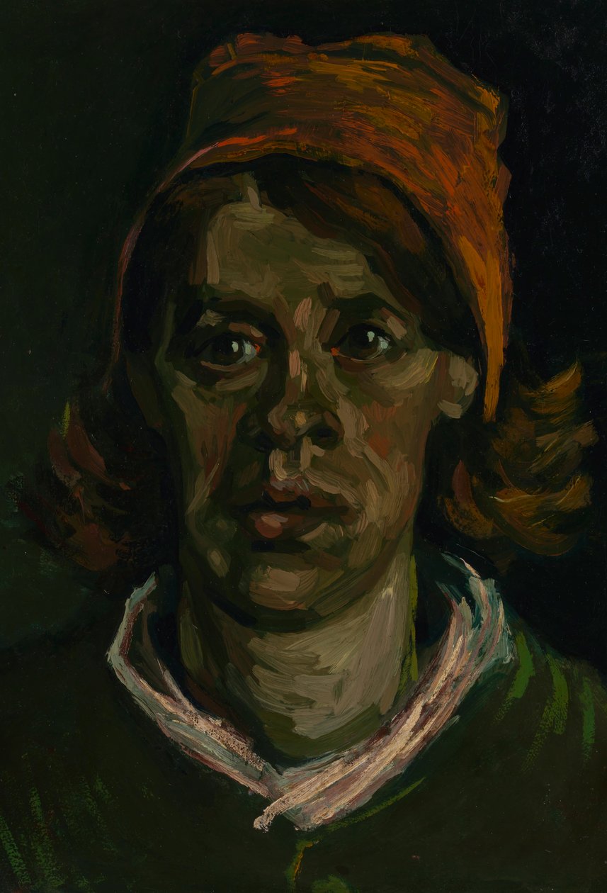 Kopf einer Frau von Vincent van Gogh