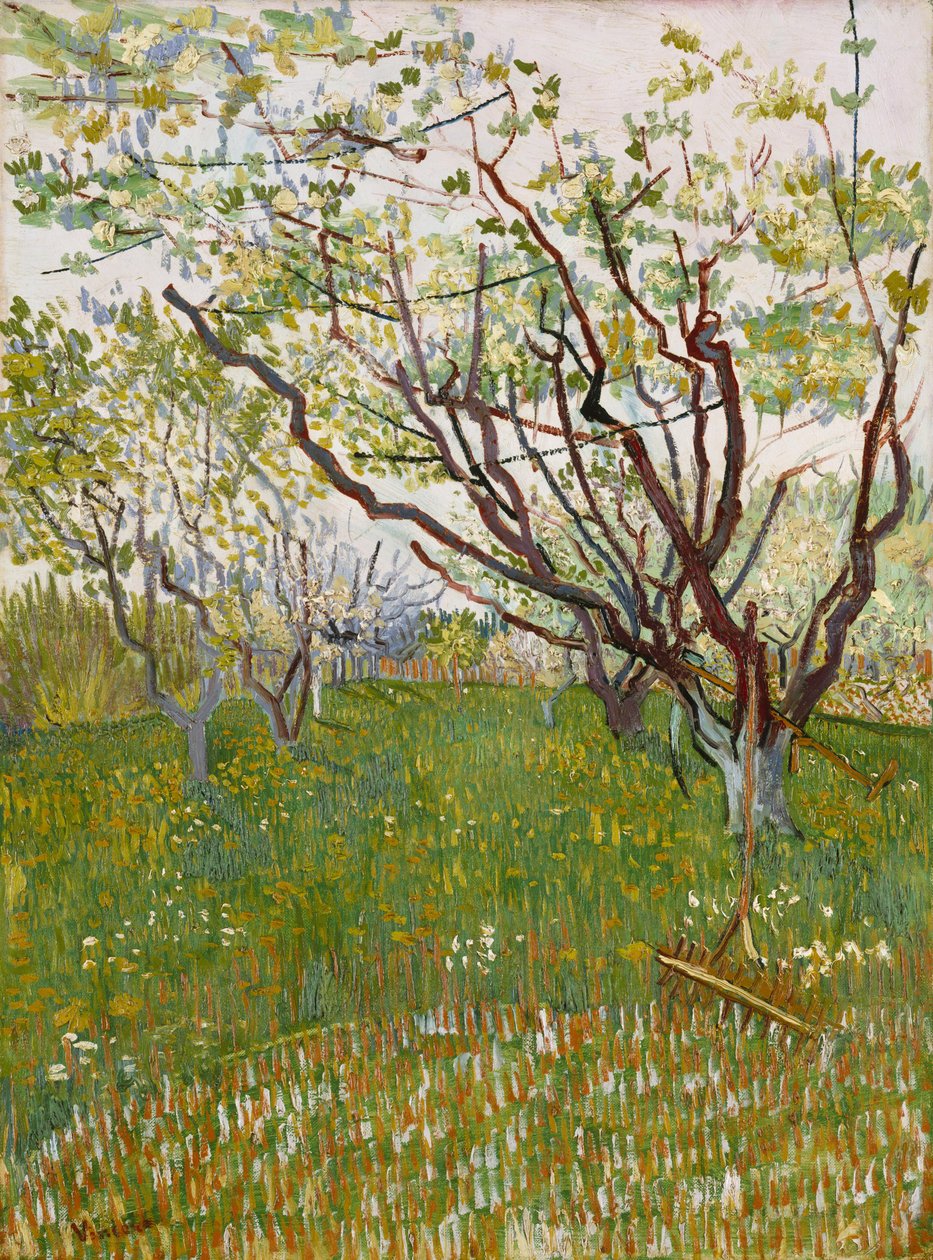Der blühende Obstgarten von Vincent van Gogh