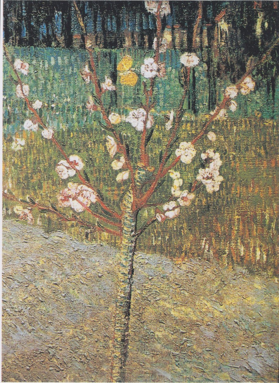 Blühender Mandelbaum von Vincent van Gogh