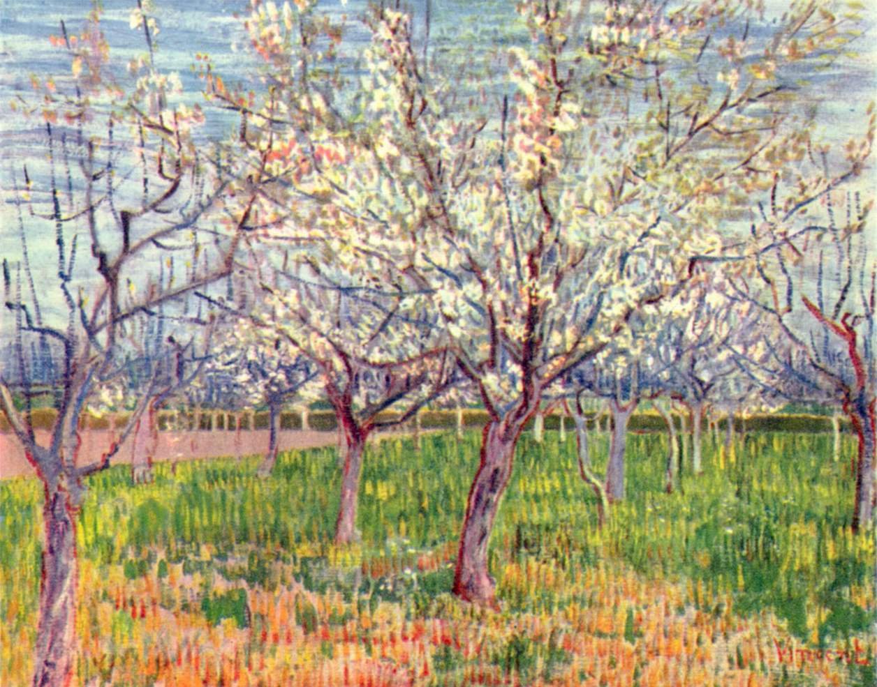 Blühender Obstgarten von Vincent van Gogh