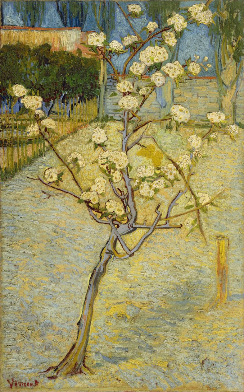 Blühender Birnbaum von Vincent van Gogh