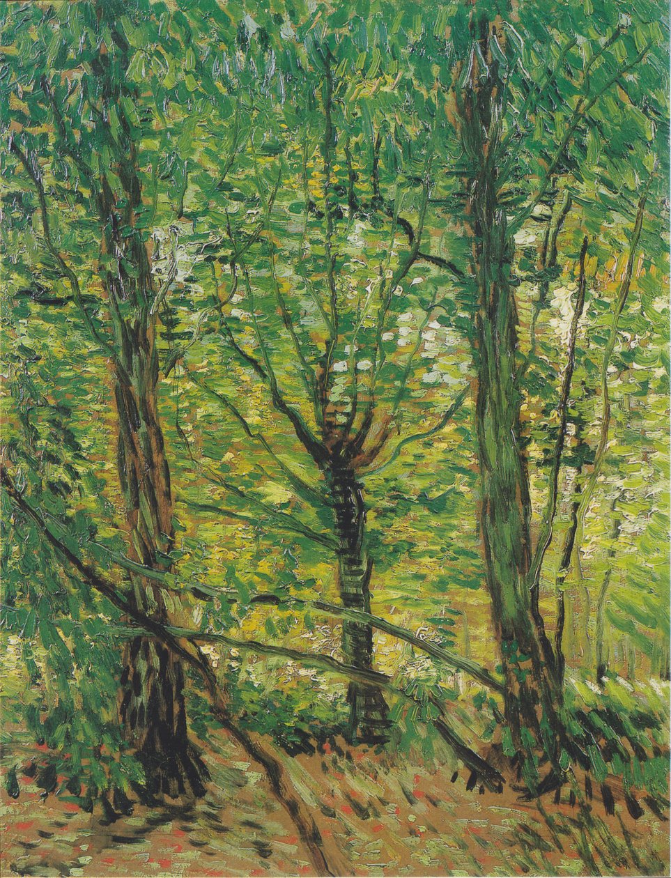 Bäume und Unterholz von Vincent van Gogh