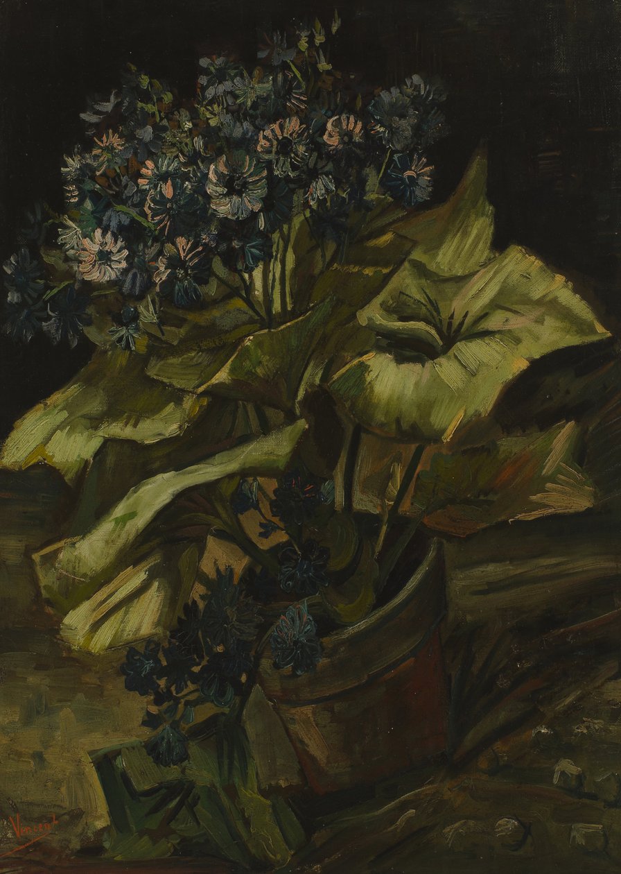 Cinerarie von Vincent van Gogh