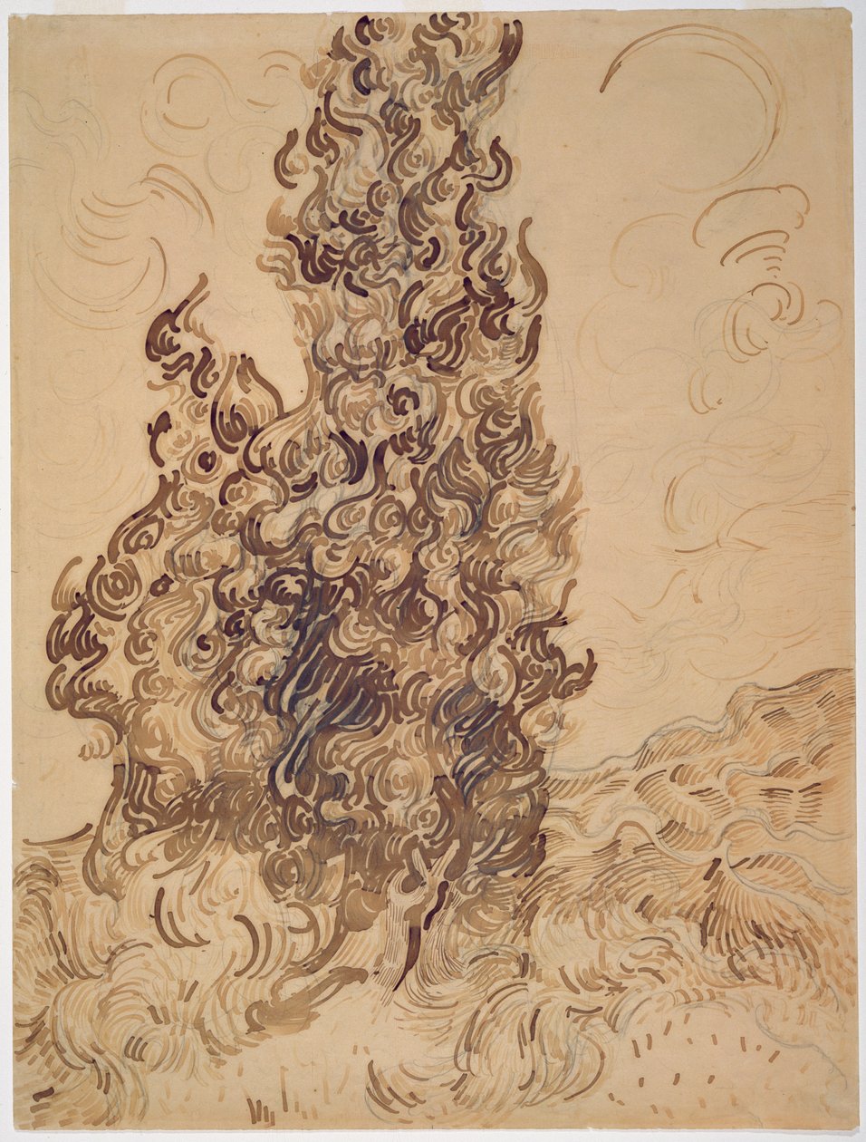Zypressen, 1889 von Vincent van Gogh