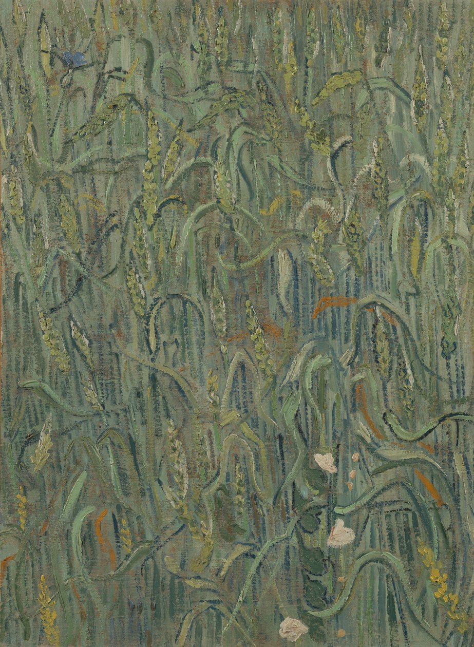 Ähren von Vincent van Gogh