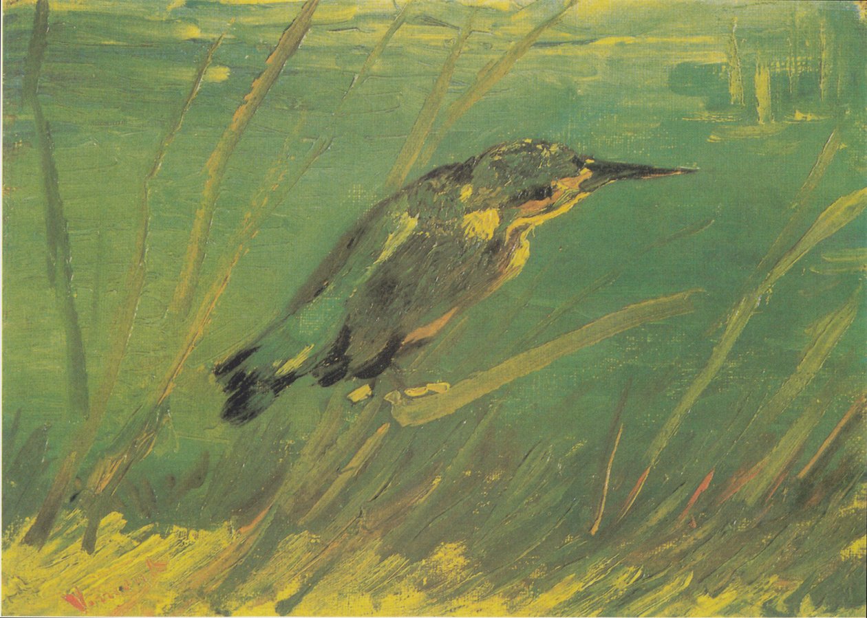 Eisvogel von Vincent van Gogh