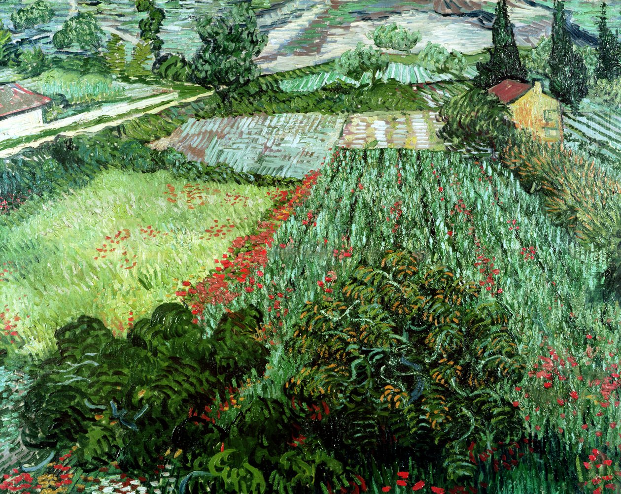 Feld mit Mohnblumen, 1889 von Vincent van Gogh