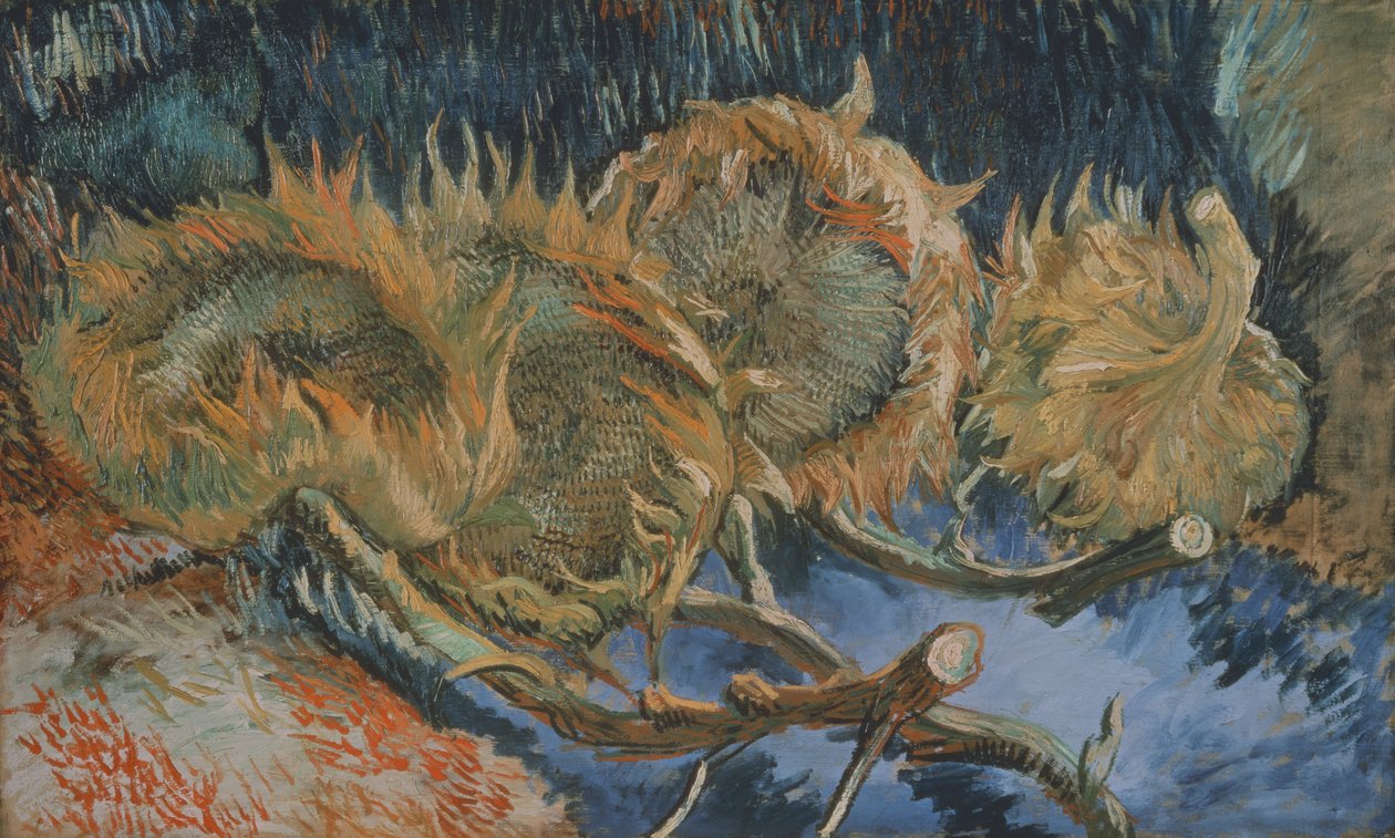 Vier verwelkte Sonnenblumen, 1887 von Vincent van Gogh