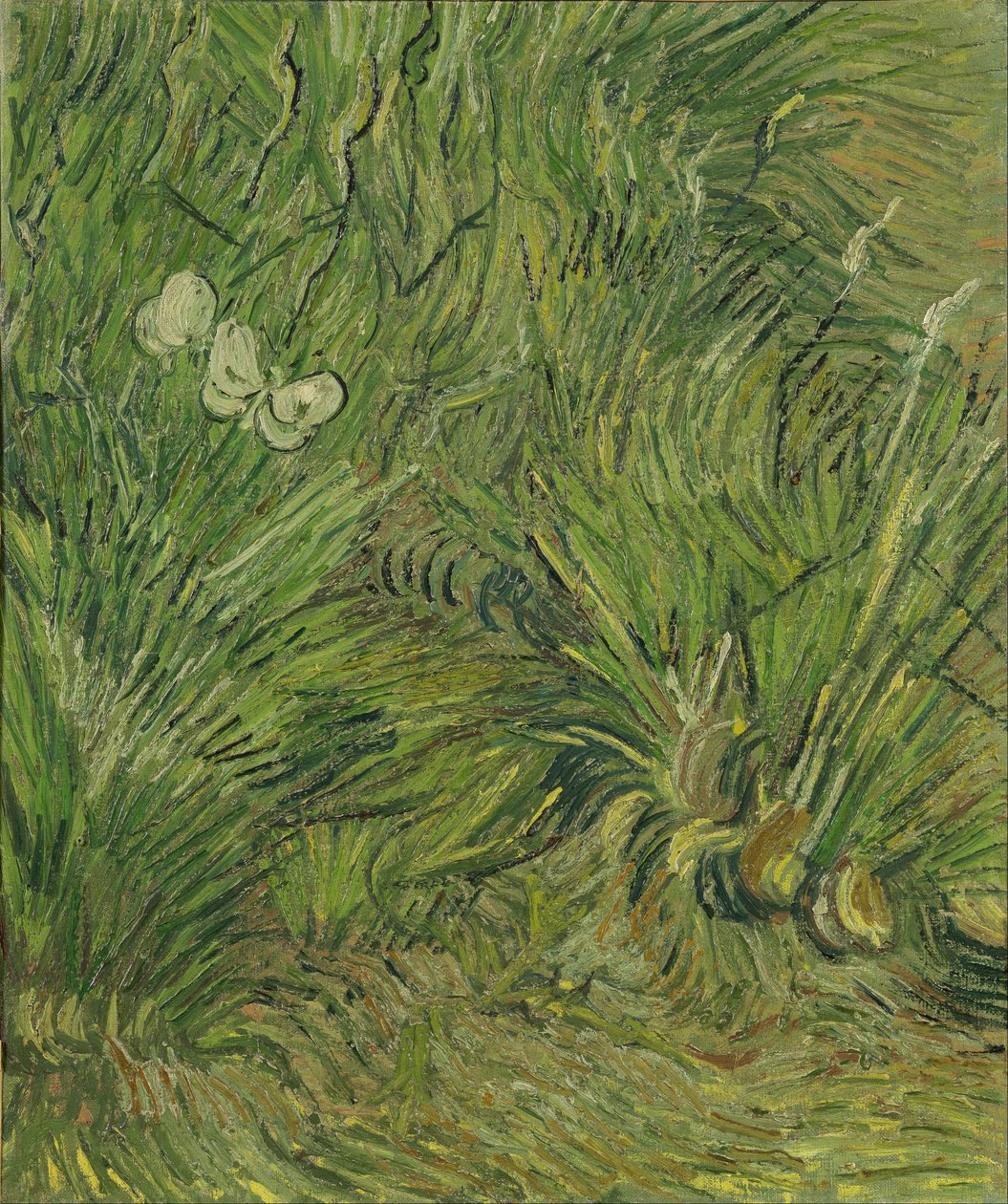 Garten mit Schmetterlingen von Vincent van Gogh