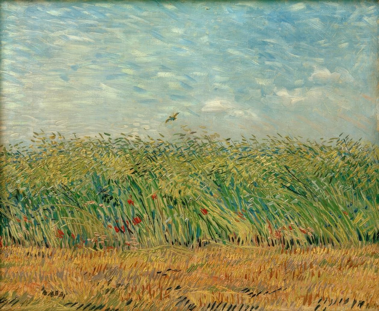 Getreidefeld mit Mohnblumen und Rebhuhn von Vincent van Gogh