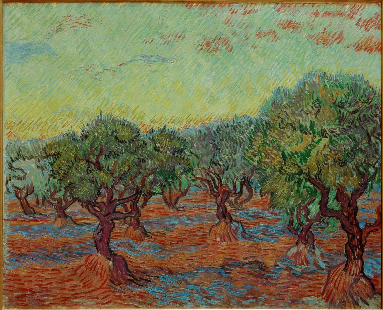 Olivenhain von Vincent van Gogh